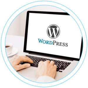 CMS WordPress. Управление и поддержка сайта